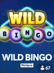 Wild Bingo BC Game Perú cover