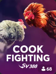 Cock Fighting BC Game Perú cover